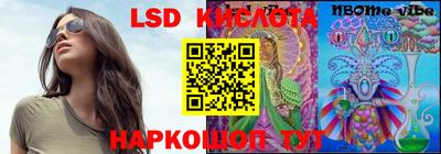 гашик Шахты