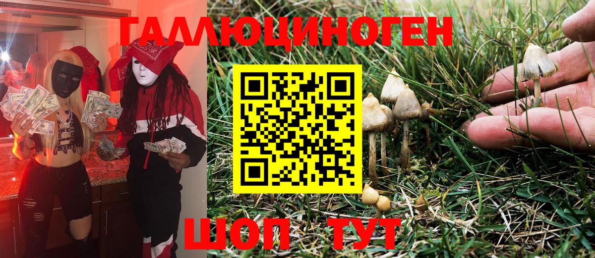 Галлюциногенные грибы Psilocybe  Галлюциногенные грибы MAGIC MUSHROOMS  Кыштым  Вход с VPN 