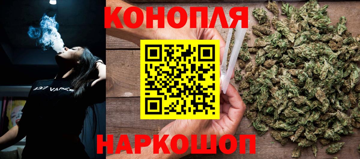 Конопля сатива Кыштым